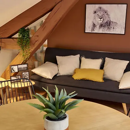 Major D'home Amalgame Périgueux