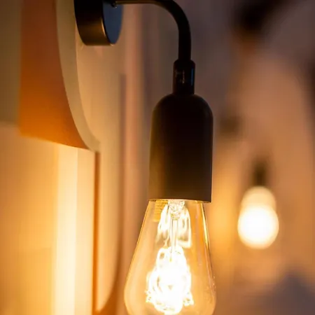 Major D'home Amalgame * Périgueux