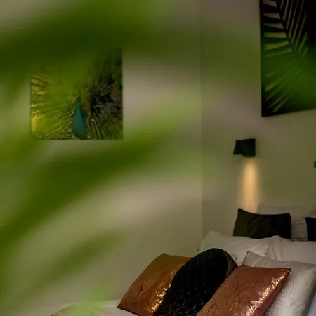 Major D'home Amalgame *