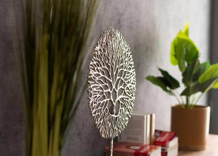 Major D'home Amalgame Périgueux