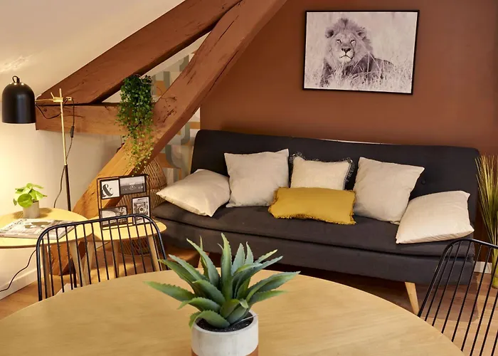 Major D'home Amalgame Périgueux