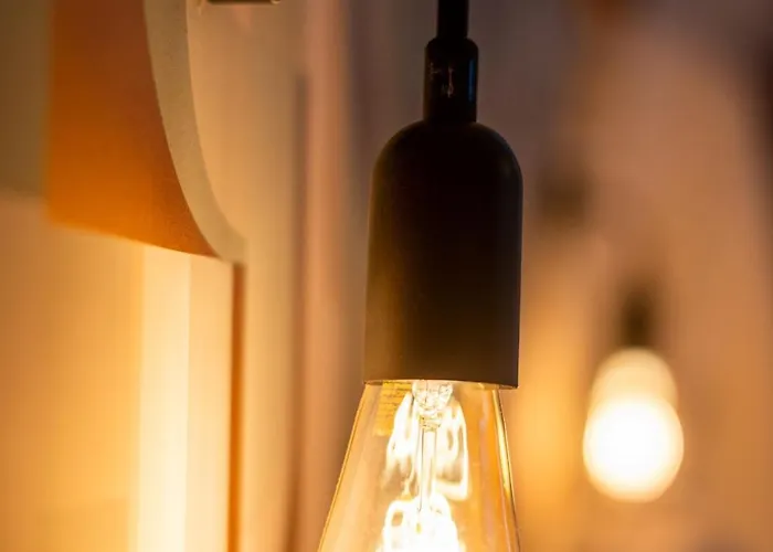 Major D'home Amalgame * Périgueux